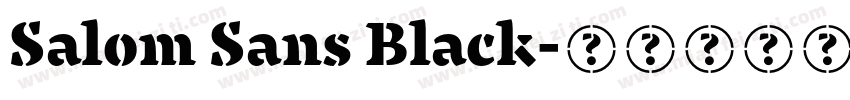 Salom Sans Black字体转换
